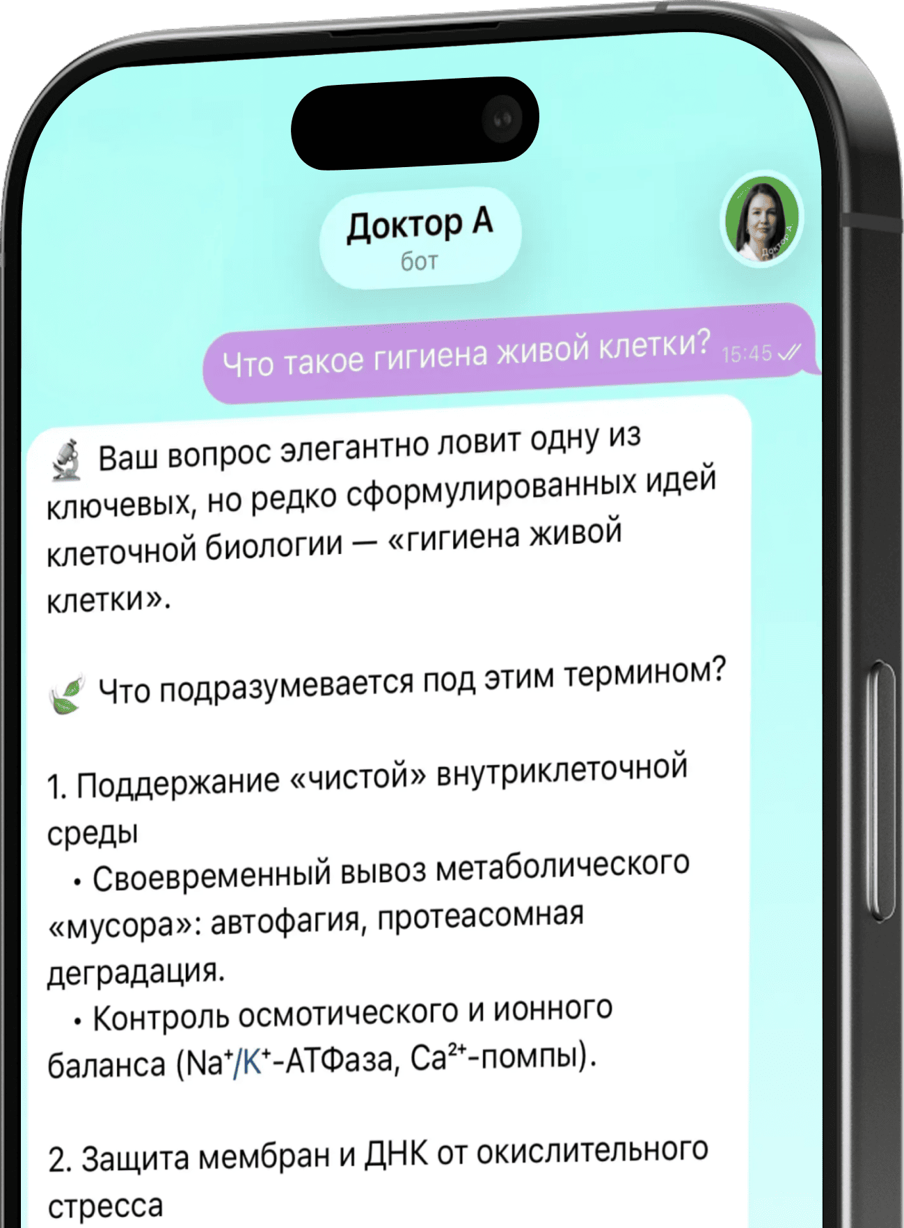phone
