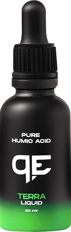 bottle1